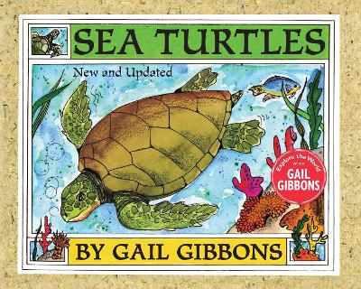 Sea Turtles (New & Updated Edition) book