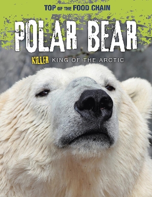 Polar Bear: Killer King of the Arctic by Louise Spilsbury
