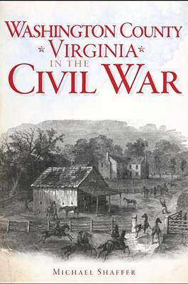 Washington County, Virginia in the Civil War book