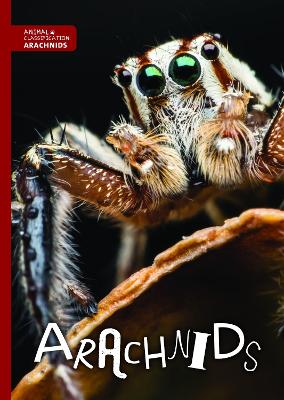 Arachnids by Joanna Brundle