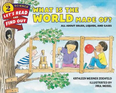 What Is the World Made Of? book