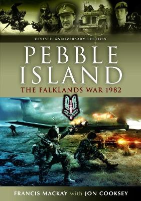 Pebble Island book