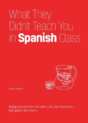 What They Didn't Teach You In Spanish Class: Slang Phrases for the Cafe, Club, Bar, Bedroom, Ball Game and More book