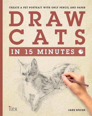 Draw Cats in 15 Minutes book