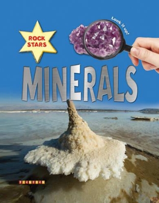 Rock Stars Minerals book