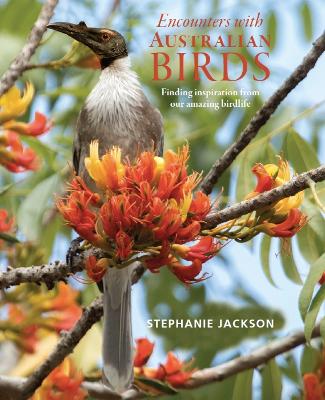 Encounters with Australian Birds: Finding inspirations from Australia's amazing birdlife book