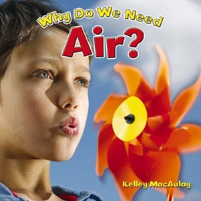 Why Do We Need Air? book