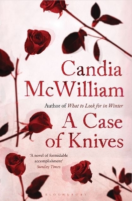 A Case of Knives book