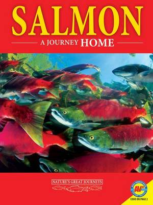 Salmon by M J Cosson
