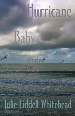Hurricane Baby: Stories book