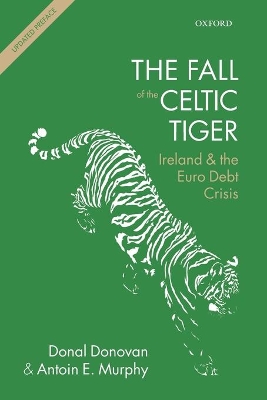 Fall of the Celtic Tiger book