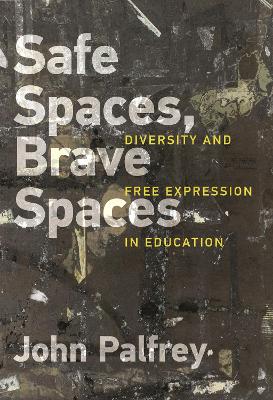 Safe Spaces, Brave Spaces: Diversity and Free Expression in Education book