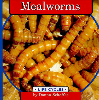 Mealworms book