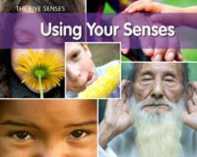 Using Your Senses book