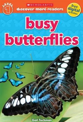 Busy Butterflies book