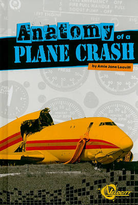 Anatomy of a Plane Crash book