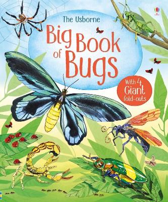 Big Book of Big Bugs book