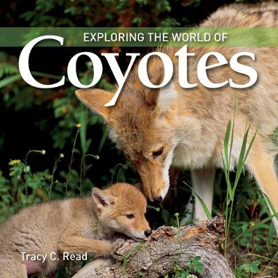 Exploring the World of Coyotes book