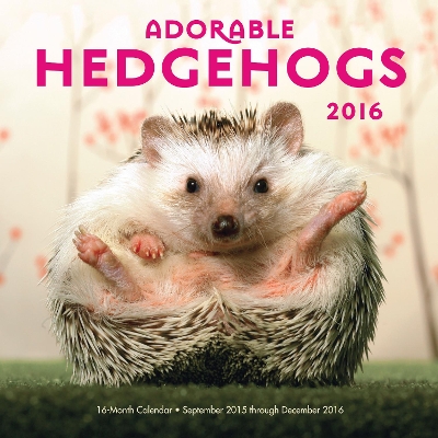 Adorable Hedgehogs 2016: 16-Month Calendar September 2015 through December 2016 book