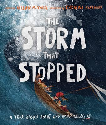 Storm That Stopped book