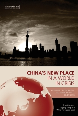China's New Place in a World in Crisis book