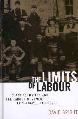 Limits of Labour by David Bright