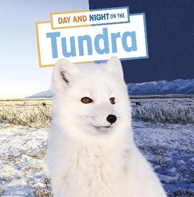 Day and Night on the Tundra book