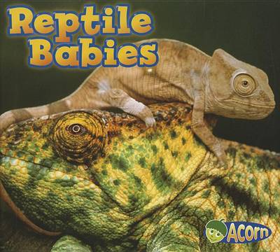 Reptile Babies by Catherine Veitch