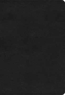 ESV Student Study Bible by David Chapman