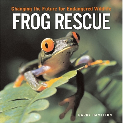 Frog Rescue book