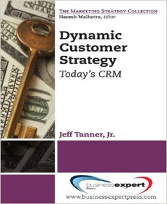 Dynamic Customer Strategy: Big Profits from Big Data book