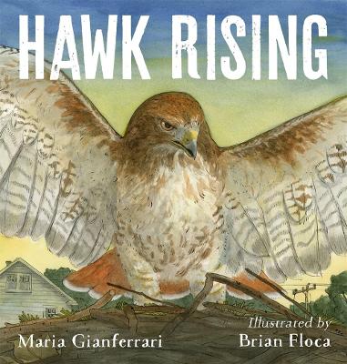 Hawk Rising book