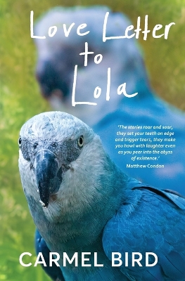 Love Letter to Lola book