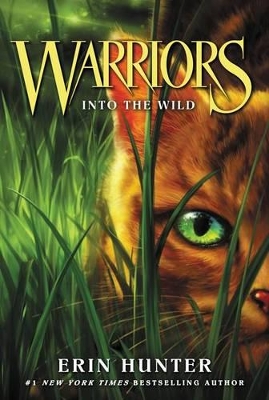 Warriors: #1 Into the Wild book