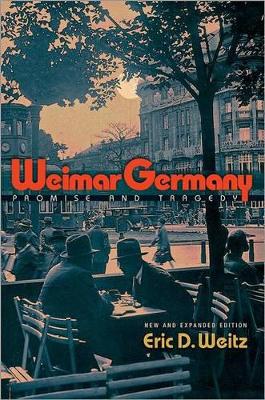 Weimar Germany book