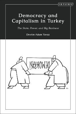 Democracy and Capitalism in Turkey: The State, Power, and Big Business book