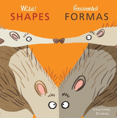 Shapes/Formas book