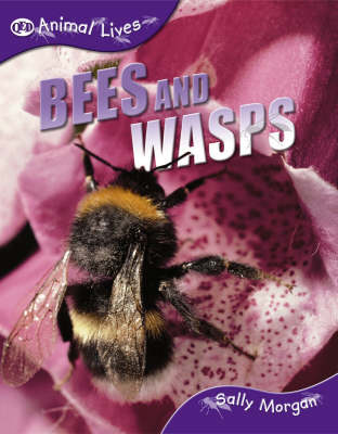 Bees and Wasps by Sally Morgan