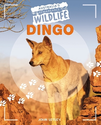 Australia's Remarkable Wildlife: Dingo book