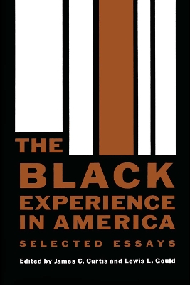 The Black Experience in America book