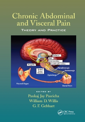 Chronic Abdominal and Visceral Pain: Theory and Practice book