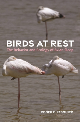 Birds at Rest: The Behavior and Ecology of Avian Sleep book