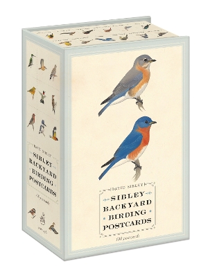 Sibley Backyard Birding Postcards book