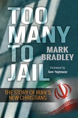 Too Many to Jail book