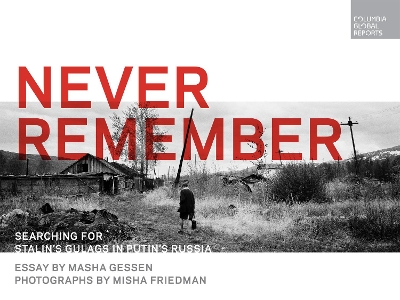 Never Remember book