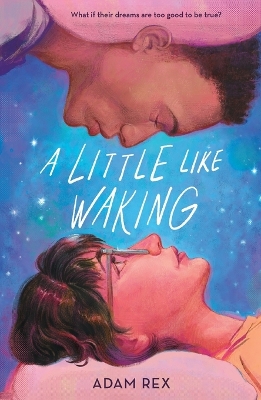 A Little Like Waking book