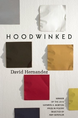 Hoodwinked book