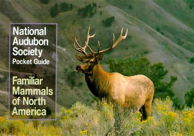 National Audubon Society Pocket Guide to Familiar Mammals book