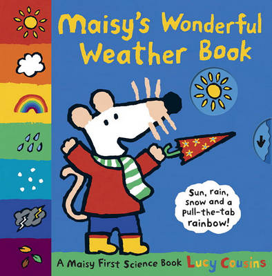 Maisy's Wonderful Weather Book book