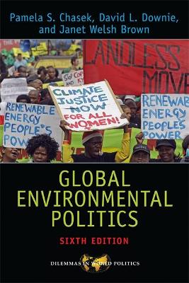 Global Environmental Politics book